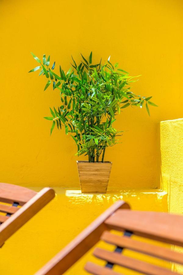 Alfama, Bright And Spacious With Private Terrace, By Timecooler ลิสบอน ภายนอก รูปภาพ